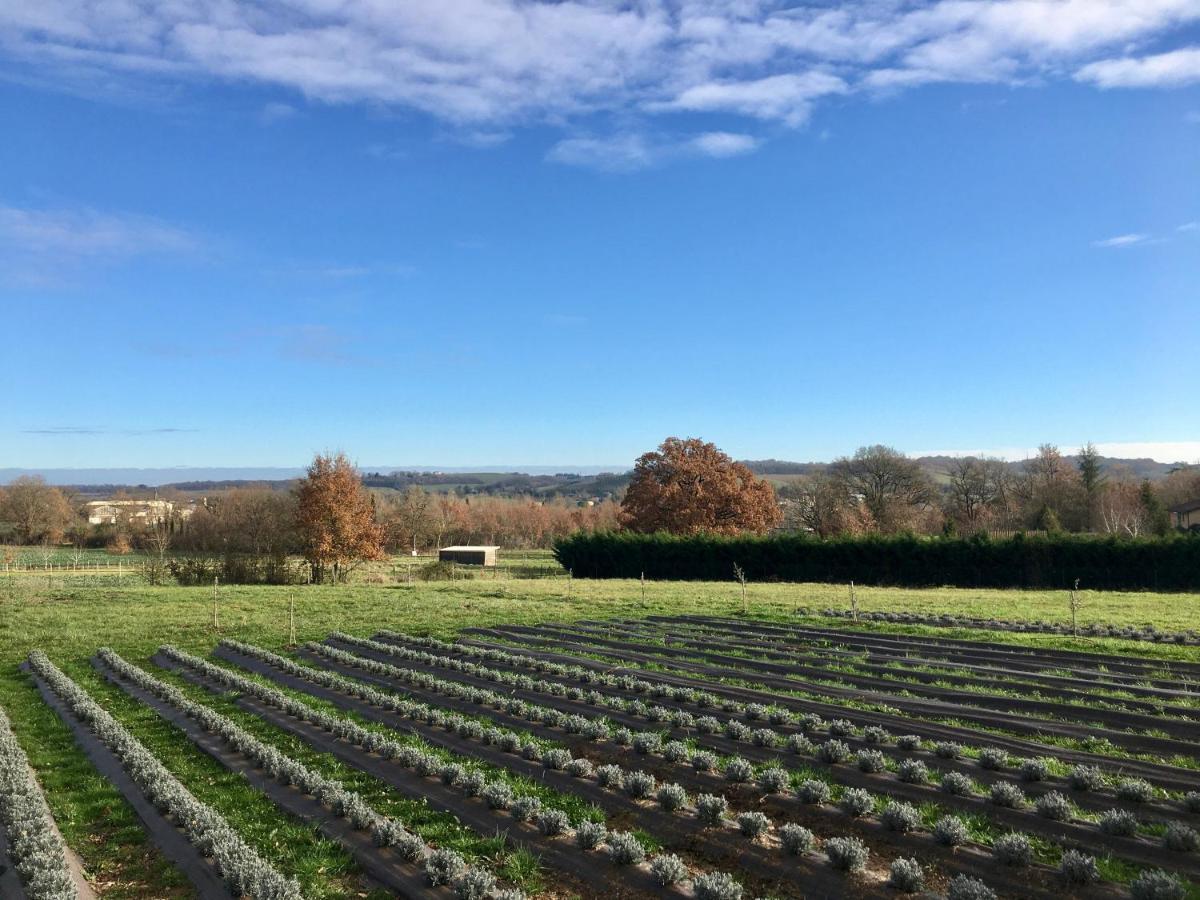 Domaine D'Elusa Vic-Fezensac Bagian luar foto