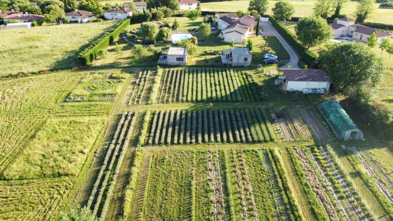 Domaine D'Elusa Vic-Fezensac Bagian luar foto