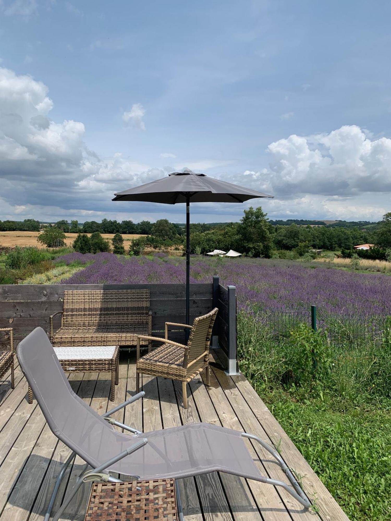 Domaine D'Elusa Vic-Fezensac Bagian luar foto